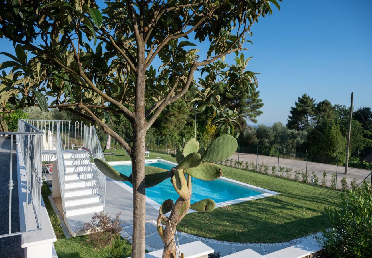 House in Montecarlo - La casetta degli Agrumi