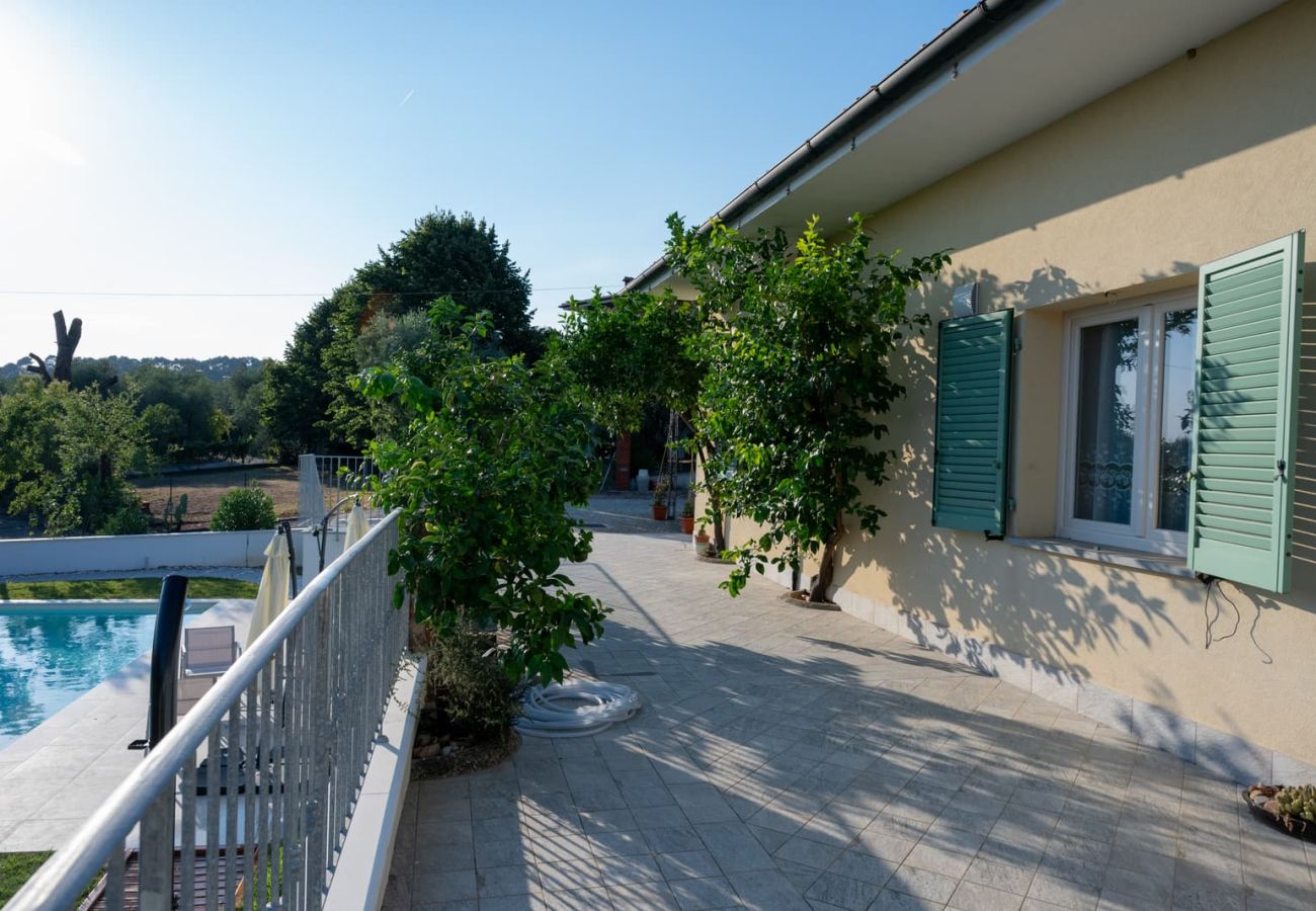 House in Montecarlo - La casetta degli Agrumi