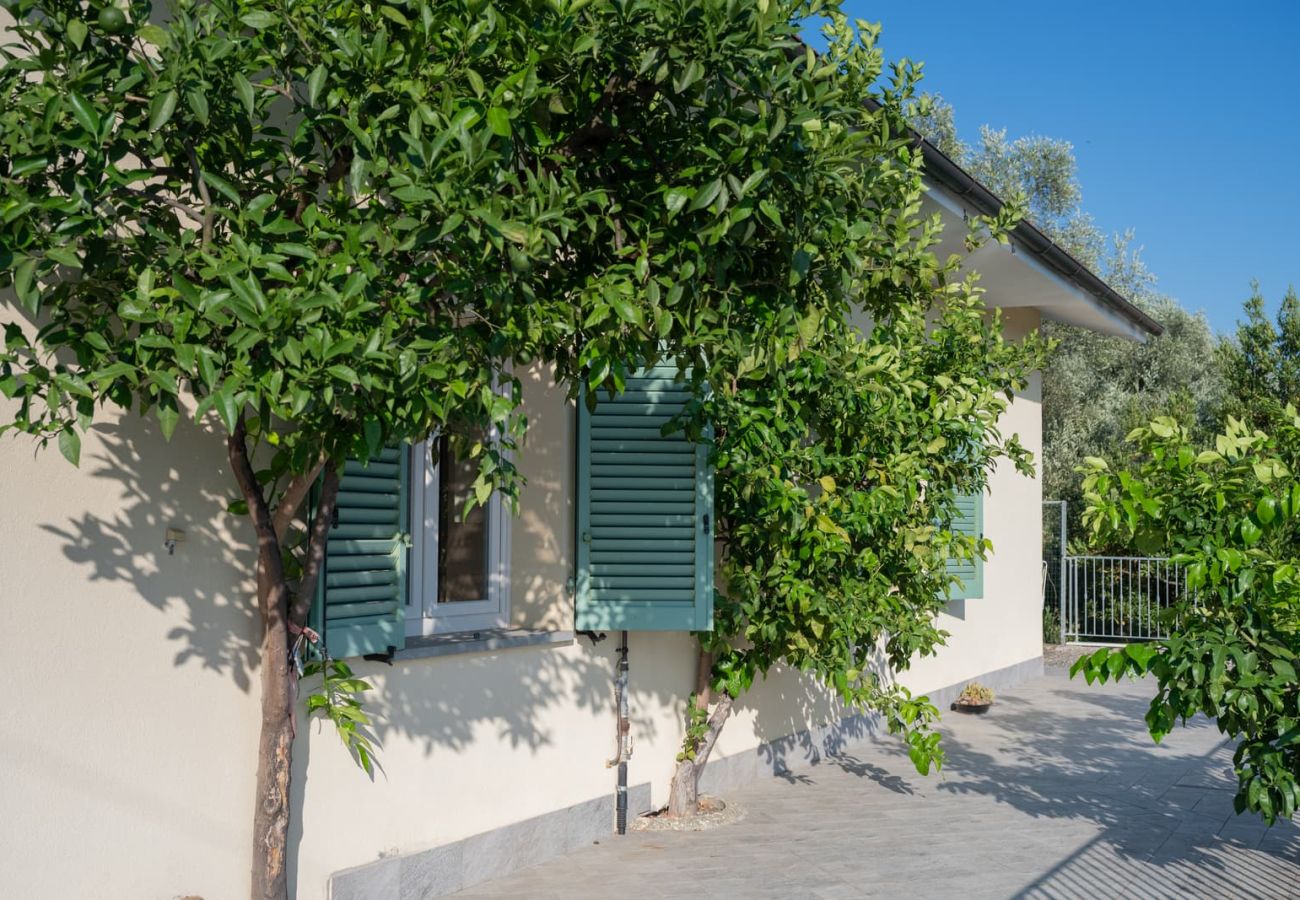 House in Montecarlo - La casetta degli Agrumi