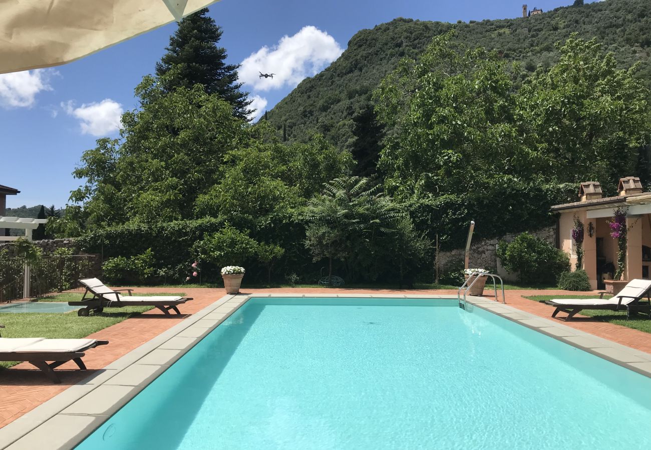 Villa in Camaiore - Villa Mela